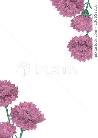 [Carnation frame] Hand embroidery illustration material 136658216