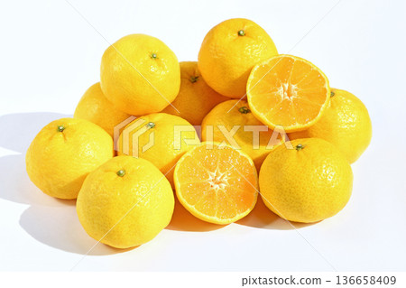 Citrus fruit (Hime Koharu) 136658409