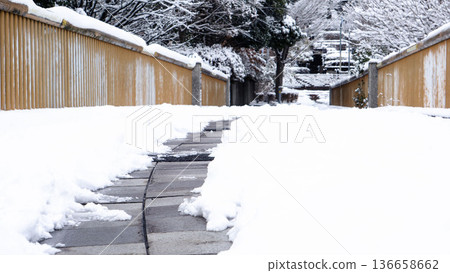 snow-covered promenade snow-covered promenade 136658662