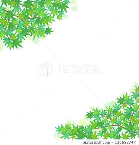 Green maple frame 4_square Green maple frame 4_square 136658747