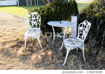 White chairs and tables set up under large evergreen trees along the beach in winter 136659066