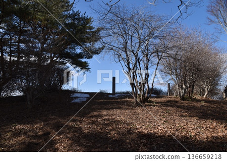 口田山 口田山 136659218