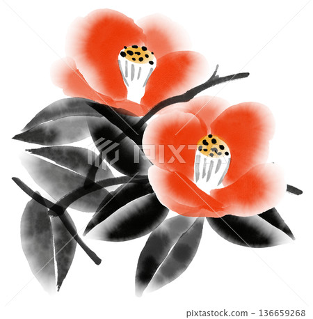 Ink painting "Camellia" illustration | Sumi-e and Japanese-style art background template material 136659268