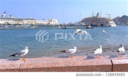 Seagulls On Harbor Wall By Cruise Ship, Calm Blue Water, Sunlit Promenade, Distant Yachts, Serene Coastal Atmosphere, Gentle Breeze Over Quay, Subtle Reflections On Water 136659483