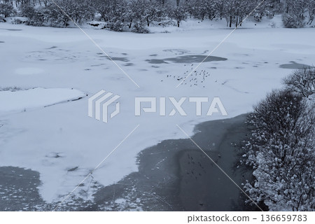 白雪皚皚的湖泊和森林景觀 a-1 136659783