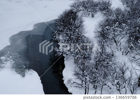 白雪皚皚的湖泊和森林景觀 b-2 高對比度 136659786