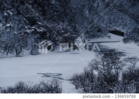 白雪皚皚的湖泊和森林景觀 c-2 高對比度 136659788