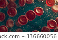 Red blood cells move in a fluid environment showing interactions with water droplets under microscopic view 136660056