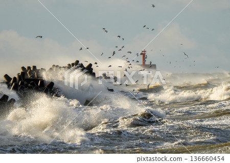 Fierce Baltic Sea storm waves crashing against Liepaja harbor breakwater with lighthouse and birds 136660454