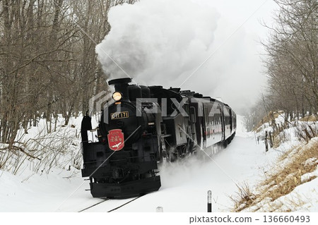 釧路濕地，銠呂-卡亞努馬蒸汽機車行駛在大外別平原上 136660493