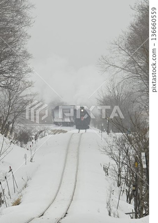 釧路濕地,銠呂-卡亞努馬蒸汽機車行駛在大外別平原上 釧路濕地,銠呂-卡亞努馬蒸汽機車行駛在大外別平原上 136660559