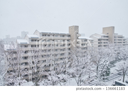公寓大樓下雪了,公寓大樓裡的雪景,大雪,雪,東京的雪 公寓大樓下雪了,公寓大樓裡的雪景,大雪,雪,東京的雪 136661183
