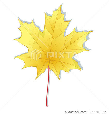 Hand-drawn yellow colored autumn maple leaf isolated on white background. Flat style illustration. Hand-drawn yellow colored autumn maple leaf isolated on white background. Flat style illustration. 136661194