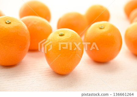 Close-up photo of kumquat 136661264