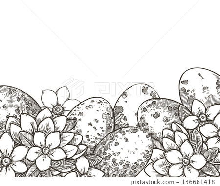 Easter background with quail egg and jasmine flower in vintage sketch style. Hand drawn line art vector design. Floral frame with copy space. Perfect for greeting card and spring holiday template. 136661418