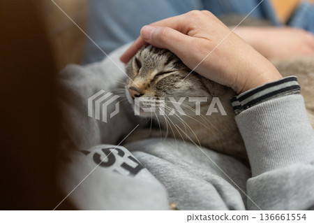 抱一隻貓 136661554