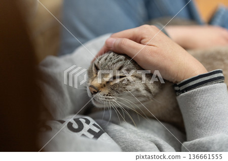 抱一隻貓 136661555