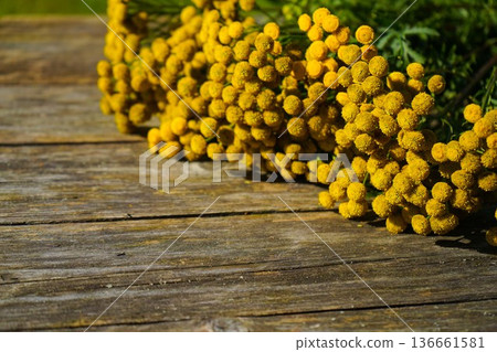 The therapeutic herb Tanacetum, an alternative herbal remedy, photographed on a wooden background to provide area for wording. 136661581