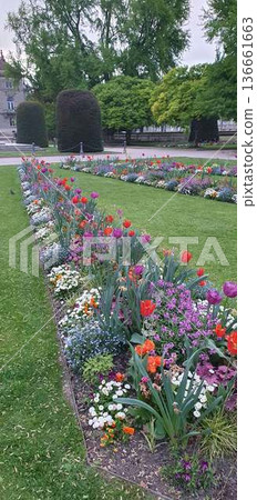 Phone photo of a city square lawn planted with red, purple, and green flowers. Urban garden scene showing public landscaping, color contrast, and everyday outdoor space. Phone photo of a city square lawn planted with red, purple, and green flowers. Urban garden scene showing public landscaping, color contrast, and everyday outdoor space. 136661663