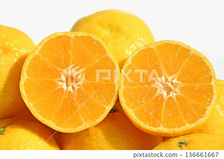 Citrus fruit (Hime Koharu) 136661667