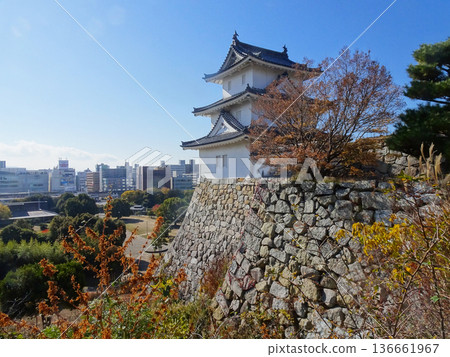 Akashi Castle -Tatsumi Tower- (Akashi City, Hyogo Prefecture) 136661967
