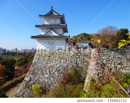 明石城辰巳塔（兵庫縣明石市） 136662232