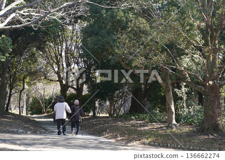 Park Walk Senior Lifestyle Health Image Material Park Walk Senior Lifestyle Health Image Material 136662274