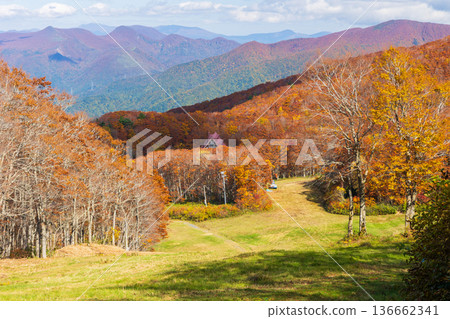 Autumn in Yamagata Zao - Autumn leaves in Zao Central Plateau Autumn in Yamagata Zao - Autumn leaves in Zao Central Plateau 136662341