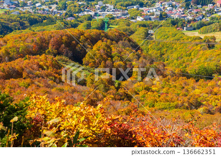 Autumn in Yamagata Zao - Autumn leaves in the Zao Central Plateau - View from Torikabutoyama Observatory 136662351