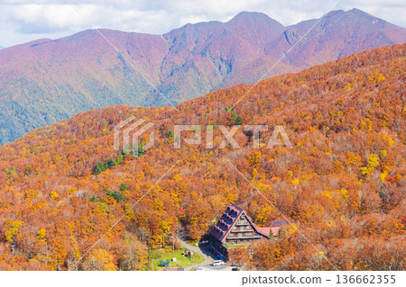 Autumn in Yamagata Zao - Autumn leaves in the Zao Central Plateau - View from Torikabutoyama Observatory Autumn in Yamagata Zao - Autumn leaves in the Zao Central Plateau - View from Torikabutoyama Observatory 136662355