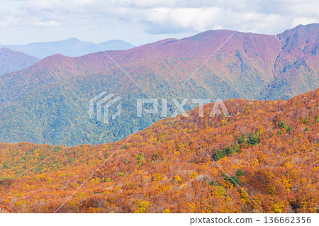 Autumn in Yamagata Zao - Autumn leaves in the Zao Central Plateau - View from Torikabutoyama Observatory Autumn in Yamagata Zao - Autumn leaves in the Zao Central Plateau - View from Torikabutoyama Observatory 136662356