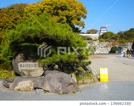 明石縣立公園（明石城遺址） - 兵庫縣明石市 136662380