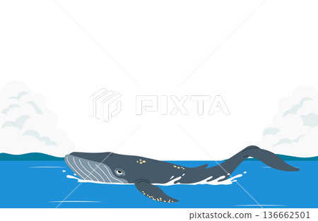 地平線上游弋著鯨魚。 地平線上游弋著鯨魚。 136662501