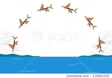 一群飛魚呈拱形飛行。 136662502