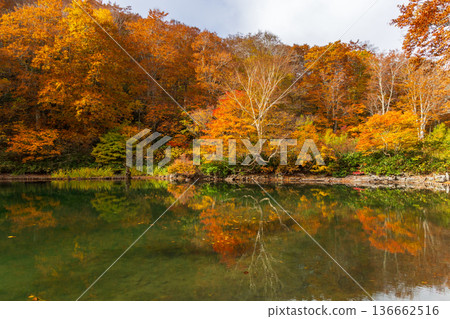 山形藏王的秋天 - 藏王中央高原的紅葉 - 獨湖沼澤 136662516