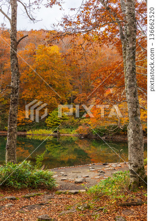 山形藏王的秋天 - 藏王中央高原的紅葉 - 獨湖沼澤 山形藏王的秋天 - 藏王中央高原的紅葉 - 獨湖沼澤 136662520