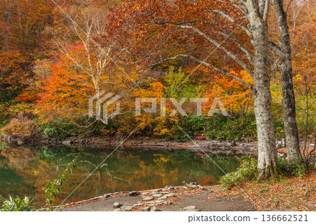 山形藏王的秋天 - 藏王中央高原的紅葉 - 獨湖沼澤 山形藏王的秋天 - 藏王中央高原的紅葉 - 獨湖沼澤 136662521