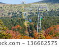 Autumn in Yamagata Zao - Autumn leaves on the Zao Ropeway 136662575