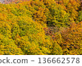 Autumn in Yamagata Zao - View of autumn leaves from the Zao Ropeway 136662578