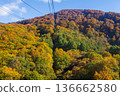 Autumn in Yamagata Zao - View of autumn leaves from the Zao Ropeway 136662580