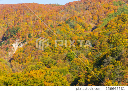 Autumn in Yamagata Zao - View of autumn leaves from the Zao Ropeway Autumn in Yamagata Zao - View of autumn leaves from the Zao Ropeway 136662581