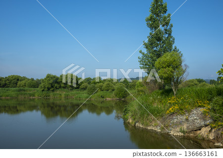 Bicycle path along the Geumgang River Bicycle path along the Geumgang River 136663161