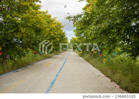 Bicycle path along the Geumgang River 136663183