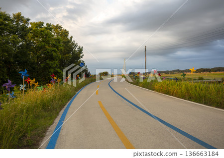 Bicycle path along the Geumgang River 136663184