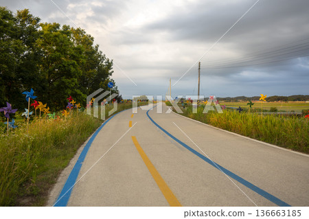 Bicycle path along the Geumgang River 136663185