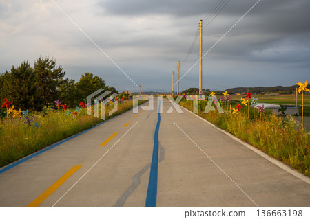 Bicycle path along the Geumgang River Bicycle path along the Geumgang River 136663198