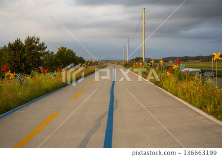 Bicycle path along the Geumgang River 136663199