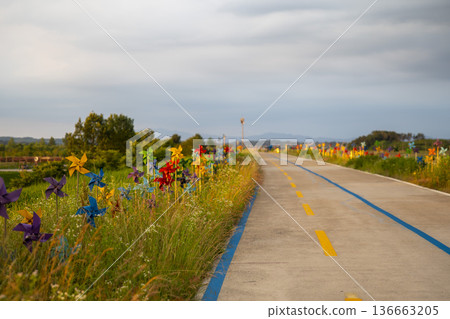 Bicycle path along the Geumgang River Bicycle path along the Geumgang River 136663205