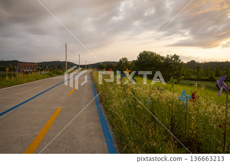 Bicycle path along the Geumgang River 136663213