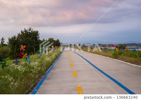 Bicycle path along the Geumgang River 136663240